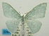  ( - USNM ENT 00732892)  @11 [ ] Unspecified (default): All Rights Reserved  Unspecified Unspecified