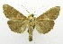  ( - USNM ENT 00732997)  @12 [ ] Unspecified (default): All Rights Reserved  Unspecified Unspecified