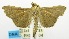  ( - USNM ENT 00732999)  @12 [ ] Unspecified (default): All Rights Reserved  Unspecified Unspecified