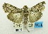  ( - USNM ENT 00733001)  @14 [ ] Unspecified (default): All Rights Reserved  Unspecified Unspecified