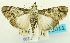  ( - USNM ENT 00733079)  @11 [ ] Unspecified (default): All Rights Reserved  Unspecified Unspecified