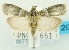  ( - USNM ENT 00733159)  @14 [ ] Unspecified (default): All Rights Reserved  Unspecified Unspecified