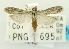  (Homoeosoma inexplorata - USNM ENT 00733243)  @13 [ ] Unspecified (default): All Rights Reserved  Unspecified Unspecified