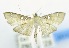  ( - USNM ENT 00733942)  @14 [ ] Unspecified (default): All Rights Reserved  Unspecified Unspecified