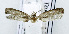  ( - USNM ENT 00796456)  @11 [ ] Unspecified (default): All Rights Reserved  Unspecified Unspecified