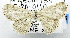  ( - USNM ENT 00796889)  @13 [ ] Unspecified (default): All Rights Reserved  Unspecified Unspecified