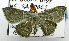  ( - USNM ENT 00796911)  @12 [ ] Unspecified (default): All Rights Reserved  Unspecified Unspecified