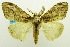  ( - USNM ENT 00797010)  @11 [ ] Unspecified (default): All Rights Reserved  Unspecified Unspecified