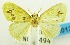  (Artaxa drucei - USNM ENT 00797055)  @14 [ ] Unspecified (default): All Rights Reserved  Unspecified Unspecified
