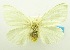  ( - USNM ENT 00797071)  @13 [ ] Unspecified (default): All Rights Reserved  Unspecified Unspecified