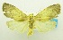  ( - USNM ENT 00797123)  @13 [ ] Unspecified (default): All Rights Reserved  Unspecified Unspecified