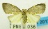  ( - USNM ENT 00797135)  @12 [ ] Unspecified (default): All Rights Reserved  Unspecified Unspecified