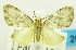  ( - USNM ENT 00797138)  @13 [ ] Unspecified (default): All Rights Reserved  Unspecified Unspecified