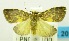  ( - USNM ENT 00797140)  @11 [ ] Unspecified (default): All Rights Reserved  Unspecified Unspecified