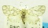  ( - USNM ENT 00797142)  @12 [ ] Unspecified (default): All Rights Reserved  Unspecified Unspecified