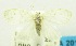  ( - USNM ENT 00797178)  @13 [ ] Unspecified (default): All Rights Reserved  Unspecified Unspecified