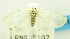  ( - USNM ENT 00797191)  @12 [ ] Unspecified (default): All Rights Reserved  Unspecified Unspecified