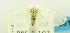  ( - USNM ENT 00797193)  @12 [ ] Unspecified (default): All Rights Reserved  Unspecified Unspecified