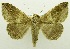 ( - USNM ENT 00797328)  @13 [ ] Unspecified (default): All Rights Reserved  Unspecified Unspecified