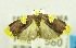  ( - USNM ENT 00797404)  @13 [ ] Unspecified (default): All Rights Reserved  Unspecified Unspecified