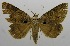  ( - USNM ENT 00797487)  @11 [ ] Unspecified (default): All Rights Reserved  Unspecified Unspecified