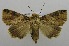  ( - USNM ENT 00797489)  @14 [ ] Unspecified (default): All Rights Reserved  Unspecified Unspecified