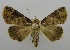  ( - USNM ENT 00797490)  @15 [ ] Unspecified (default): All Rights Reserved  Unspecified Unspecified