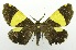  ( - USNM ENT 00797708)  @11 [ ] Unspecified (default): All Rights Reserved  Unspecified Unspecified
