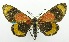  ( - USNM ENT 00797709)  @11 [ ] Unspecified (default): All Rights Reserved  Unspecified Unspecified