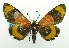  ( - USNM ENT 00797710)  @14 [ ] Unspecified (default): All Rights Reserved  Unspecified Unspecified