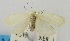  ( - USNM ENT 00797962)  @13 [ ] Unspecified (default): All Rights Reserved  Unspecified Unspecified