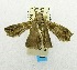  ( - USNM ENT 00798010)  @13 [ ] Unspecified (default): All Rights Reserved  Unspecified Unspecified