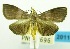  ( - USNM ENT 00798266)  @11 [ ] Unspecified (default): All Rights Reserved  Unspecified Unspecified