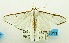  (Cirrhochrista sp. ABV4064 - USNM ENT 00798335)  @12 [ ] Unspecified (default): All Rights Reserved  Unspecified Unspecified