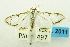  (Cirrhochrista sp. AAD0191 - USNM ENT 00798340)  @12 [ ] Unspecified (default): All Rights Reserved  Unspecified Unspecified
