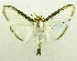  ( - USNM ENT 00798365)  @14 [ ] Unspecified (default): All Rights Reserved  Unspecified Unspecified