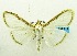  ( - USNM ENT 00798367)  @13 [ ] Unspecified (default): All Rights Reserved  Unspecified Unspecified