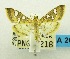  ( - USNM ENT 00798459)  @11 [ ] Unspecified (default): All Rights Reserved  Unspecified Unspecified