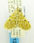  ( - USNM ENT 00798578)  @11 [ ] Unspecified (default): All Rights Reserved  Unspecified Unspecified