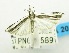  ( - USNM ENT 00798581)  @13 [ ] Unspecified (default): All Rights Reserved  Unspecified Unspecified