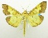  ( - USNM ENT 00798685)  @11 [ ] Unspecified (default): All Rights Reserved  Unspecified Unspecified