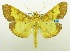 ( - USNM ENT 00798687)  @11 [ ] Unspecified (default): All Rights Reserved  Unspecified Unspecified