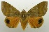  ( - USNM ENT 00798892)  @11 [ ] Unspecified (default): All Rights Reserved  Unspecified Unspecified