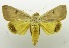  ( - USNM ENT 00798895)  @13 [ ] Unspecified (default): All Rights Reserved  Unspecified Unspecified