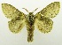 ( - USNM ENT 00798933)  @12 [ ] Unspecified (default): All Rights Reserved  Unspecified Unspecified