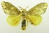  ( - USNM ENT 00798973)  @12 [ ] Unspecified (default): All Rights Reserved  Unspecified Unspecified