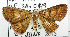  ( - USNM ENT 00799300)  @13 [ ] Unspecified (default): All Rights Reserved  Unspecified Unspecified