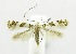  ( - USNM ENT 00800051)  @11 [ ] Unspecified (default): All Rights Reserved  Unspecified Unspecified