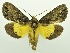  ( - USNM ENT 00800197)  @11 [ ] Unspecified (default): All Rights Reserved  Unspecified Unspecified