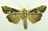  ( - USNM ENT 00800210)  @11 [ ] Unspecified (default): All Rights Reserved  Unspecified Unspecified